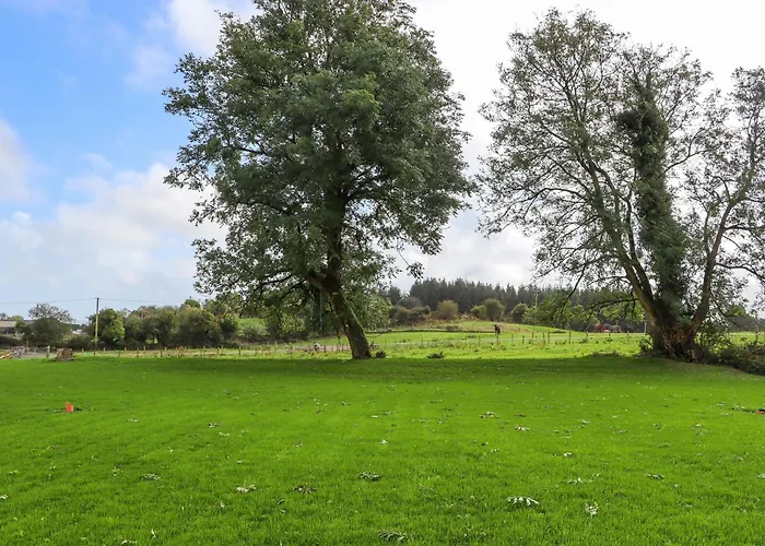 Ballyconnery Bliss Дангарван